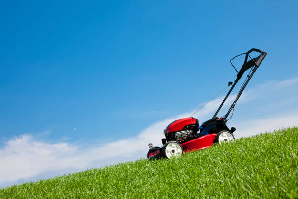 istock Lawn Mower in the Grass 184618143
