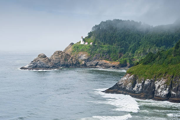 istock Heceta Head Lighthouse in the Fog 184618856