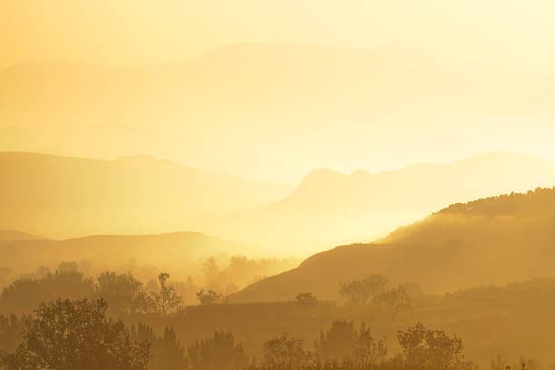 istock Morning mist cover tree and mountain 184619034