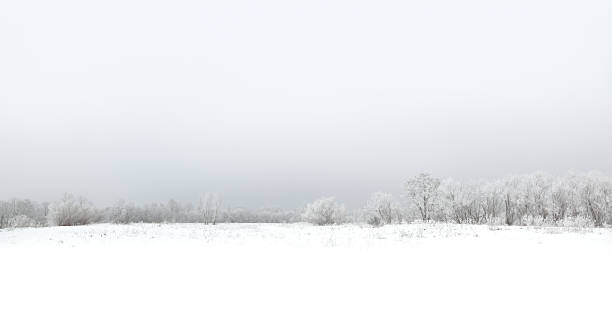 de invierno - landscaped landscape winter usa fotografías e imágenes de stock