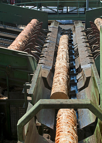 The modern cutting line in saw mill - Lumber industry.