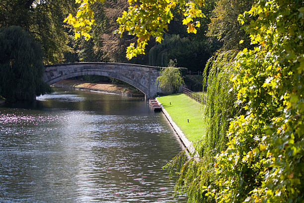 istock River Cam in late summer 184619141