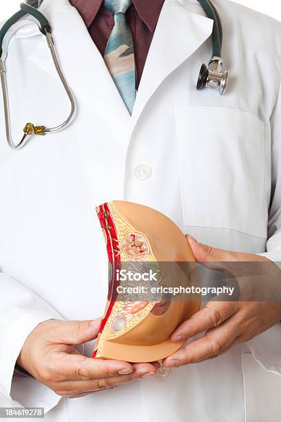 Нагрудный Патологий — стоковые фотографии и другие картинки Анатомия - Анатомия, Врач, Рак груди
