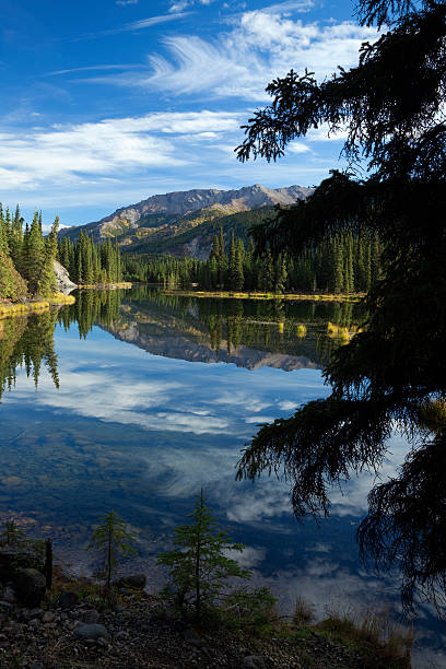 istock Reflections in Horseshoe Lake at Denali National Park, Alaska 184619327