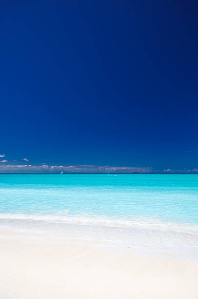 istock Clean White Caribbean Beach With Blue Sky 184619408