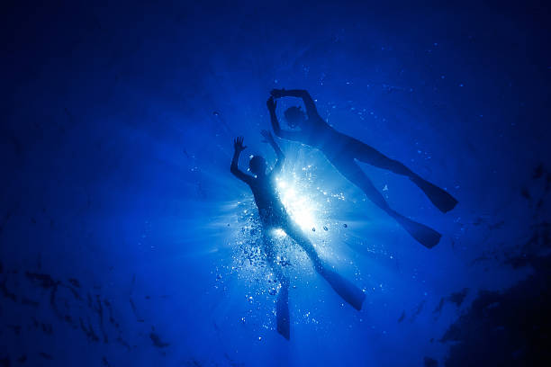 istock Snorkeling Diver Silhouette 184619844