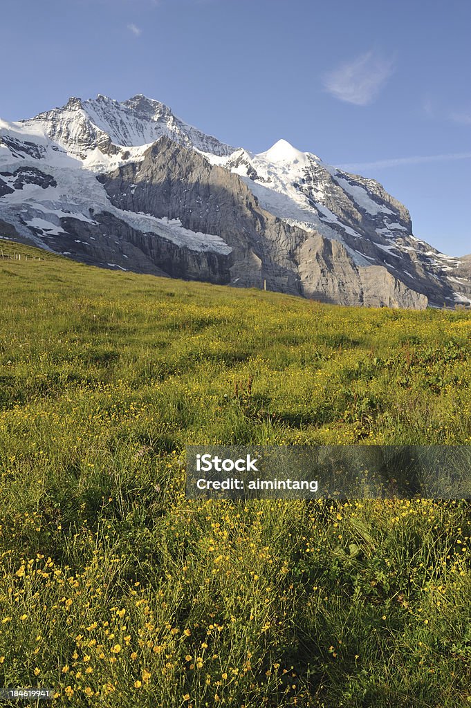 Alpi svizzere in estate - Foto stock royalty-free di Alpi