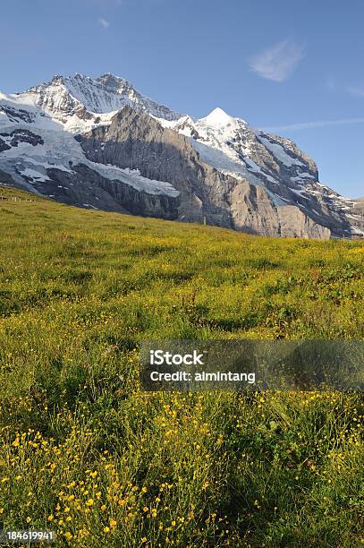 Foto de Alpes Suíços No Verão e mais fotos de stock de Alpes europeus - Alpes europeus, Bernese Oberland, Dia
