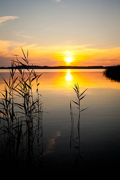 istock Sunset at Usedom Island, Germany 184620135