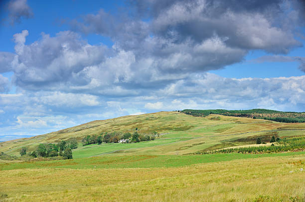 istock Sunlit Scottish rural scene with fields and hills. 184620388