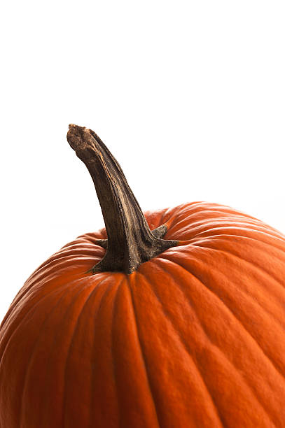 Pumpkin stock photo