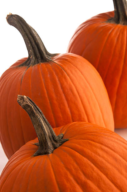 Pumpkin stock photo