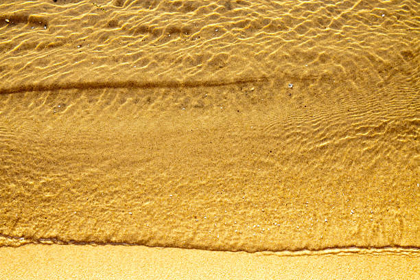 istock Golden ripples on lakeshore 184620487