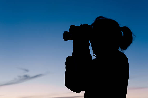 istock Silhouette of woman with binoculars at sunset 184621929