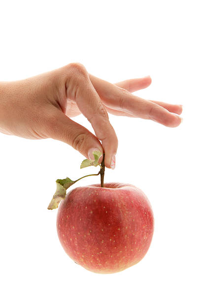 istock Hand is holding the apple XXXL 184622109