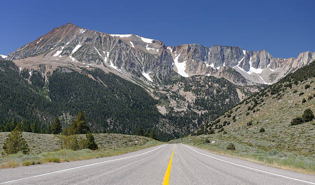 istock Road leading through Yosemite National Park (XXXL) 184622150