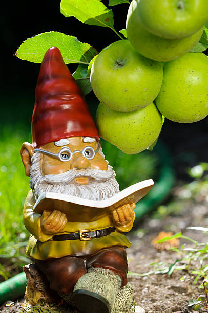nain de jardin lisant livre de pommier - statue apple roman sculpture photos et images de collection