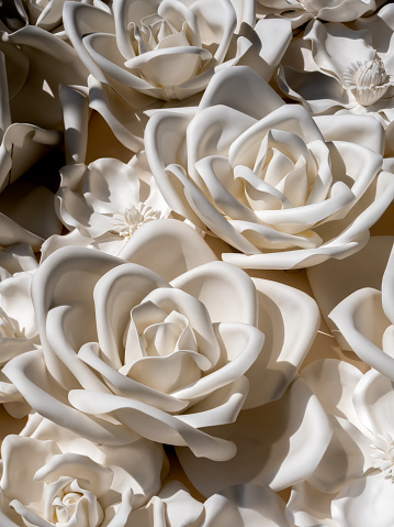 A detailed close up of a white rose.