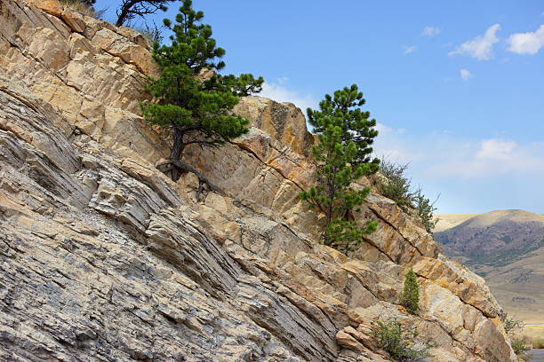 Dinosaur Ridge Layer Road construction on Dinosaur Ridge in Colorado has exposed the many fossilized layers of slate and sandstone from the Jurassic period. slate ridge stock pictures, royalty-free photos & images