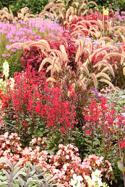 istock Flower garden in summer 184622724