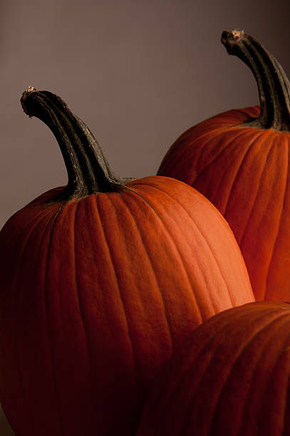 Pumpkin stock photo