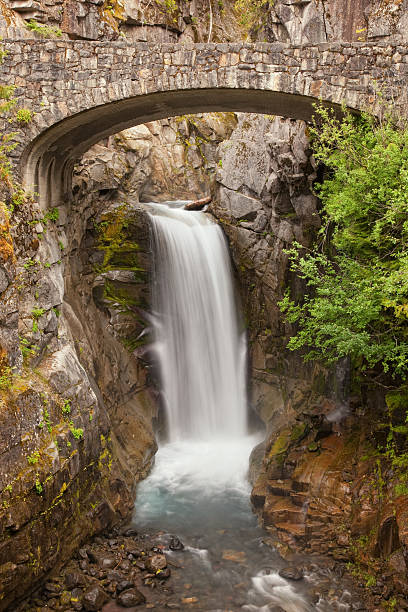 istock Christine Falls, Mt. Rainier National Park 184623716