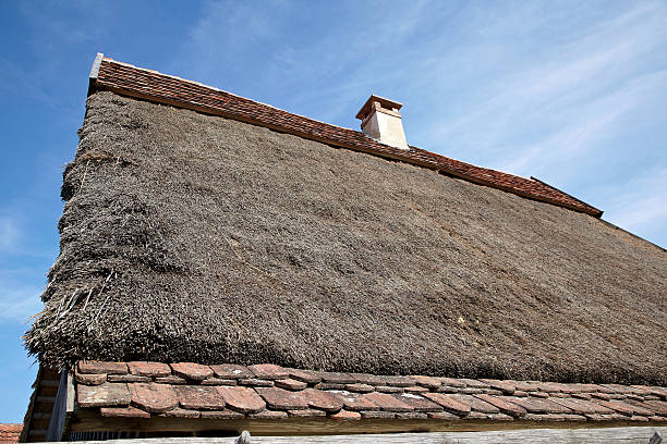 istock Ancient farmhouse strawroof 184623938