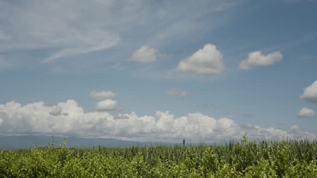 Beautiful blue sky with clouds over a field in Colombia, South America. Slow motion.