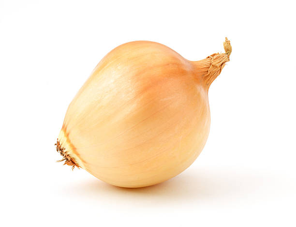 Onion close up stock photo