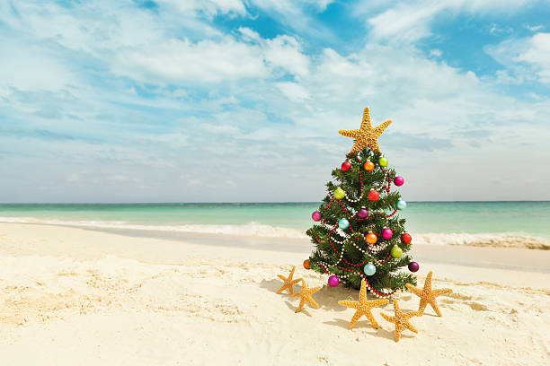 árvore de natal na praia de areia do caribe - christmas ornament christmas decoration multi colored large group of objects - fotografias e filmes do acervo