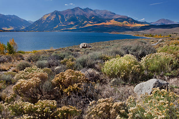 istock Mt. Elbert & Twin Lakes, Colorado in Autumn 184624827