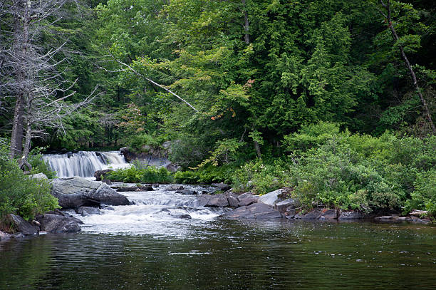 istock Waterfall In Northern Vermont 184624880