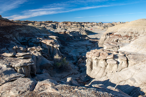 Scenery of Bisti Northern Section, Farmington, New Mexico, USA