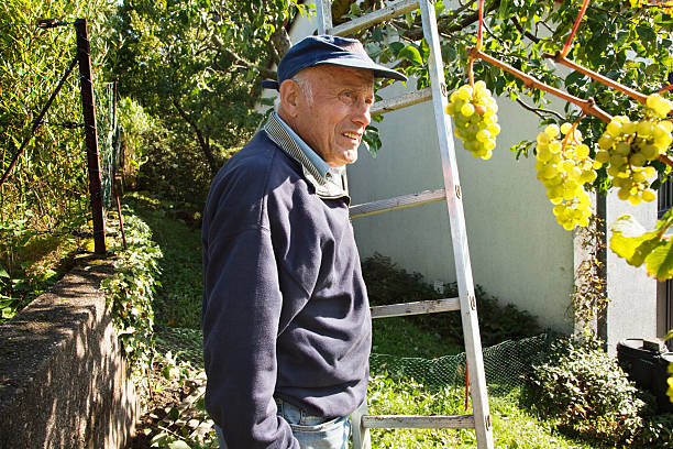 istock senior man in garden 184625759