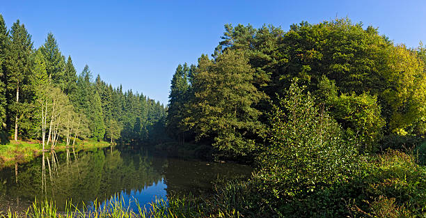 istock Lake forest morn idyllic wilderness panorama 184625933