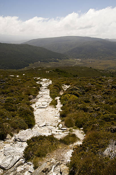 The Overland Track A portion of the famous Overland Track in Cradle Mountain-Lake Saint Clair National Park in northern Tasmania.  This portion of the walking trail is located near picturesque Crater Lake. horizon over land stock pictures, royalty-free photos & images