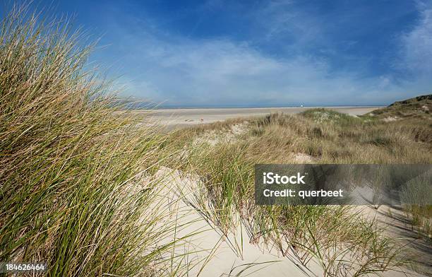Dune Landschaft Stockfoto und mehr Bilder von Deutsche Nordseeregion - Deutsche Nordseeregion, Deutschland, Fotografie