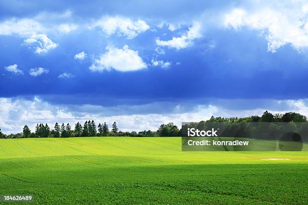 Sombras De Dançar Sobre Rolling Hillsverde Paisagem De Campo - Fotografias de stock e mais imagens de Agricultura