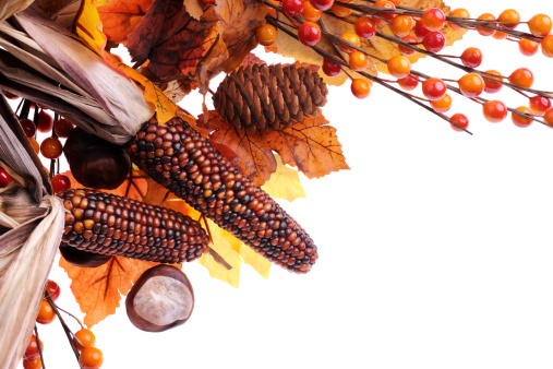 Autumn decoration with corns - XXXL Image