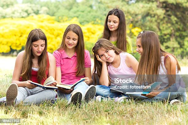 Gruppe Von Schoolgirls Bücher Im Freien Stockfoto und mehr Bilder von Beginn des Schuljahres - Beginn des Schuljahres, Betrachtung, Bildung
