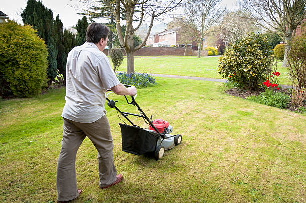 istock Man Mowing A Grass Lawn With Petrol Lawnmower 184628012