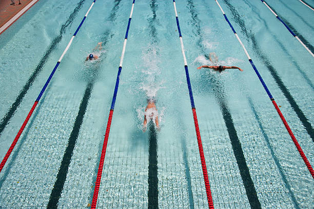 tres nadadores nadar en una piscina de - swimming professional sport competition athlete fotografías e imágenes de stock