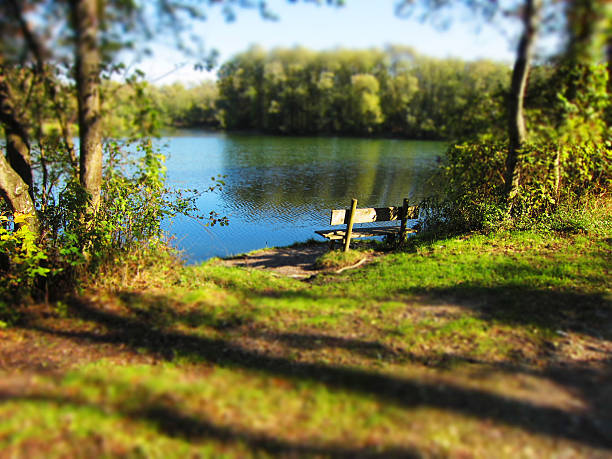 istock Idyll at the lake with bench 184630871