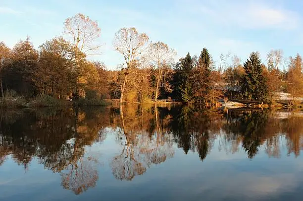 Lake in autumn with reflection of trees and fir in the water and blue sky.