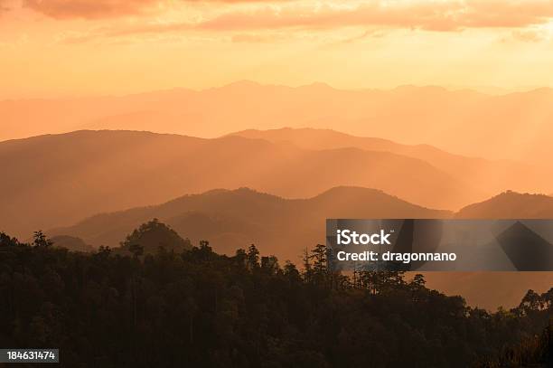 Nascer Do Sol Sobre As Montanhas - Fotografias de stock e mais imagens de Ao Ar Livre - Ao Ar Livre, Appalachia, Arbusto