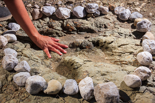 In the petrified bed of a river in San Juan Raya, within the Tehuacan-Cuicatlan Biosphere Reserve, state of Puebla, the petrified footprints of dinosaurs that lived here in the Jurassic were found, specifically these of carnivorous theropods. They are marked with river stones to be able to identify them.