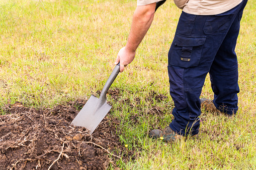 Man using a spade to dig in the garden, caring for the soil and plants.