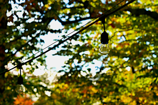 Clear bulb “Party Lights” strung across a home’s backyard patio shown on a sunny autumn afternoon with colorful leaves in the background.