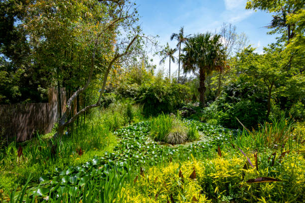 La Mortella Garden