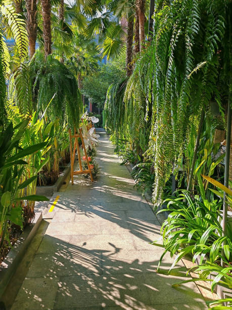 garden for outdoor wedding reception with decorelements